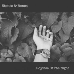 Download track Rhythm Of The Night (Afro Mix Instrumental) The Bones, Stones, Stones And Bones