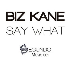 Download track Say What (90s Mix) Biz Kane