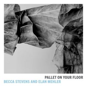 Download track Elvis Presley Blues Becca Stevens, Elan Mehler