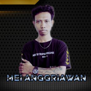 Download track Datang Dan Menghilang Mei Anggriawan