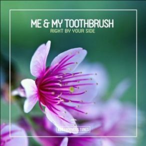 Download track Right By Your Side (Original Club Mix) Me My Toothbrush