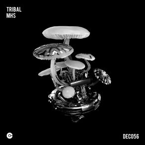 Download track Tribal MHS