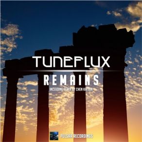 Download track Remains (Original Mix) Tuneflux