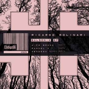 Download track Salsonik Ricardo Molinari