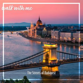 Download track The Streets Of Budapest, Pt. 14 Daniel Dodik