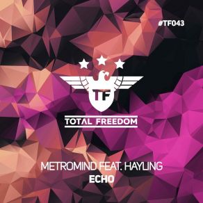 Download track Echo (Extended Mix) Metromind