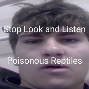 Download track New Wave Poisonous Reptiles