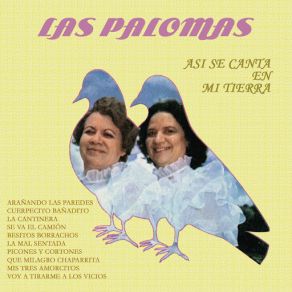 Download track Voy A Tirarme A Los Vicios Dueto Las Palomas