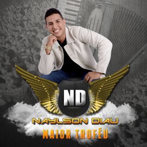 Download track Raridade Naylson Diau