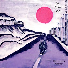 Download track Some Kind Of Return (Clear Space Mix) Cat Came Back