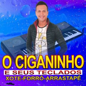 Download track Aqui Derruba Boi O Ciganinho E Seus Teclados