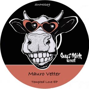 Download track Shake Your Booty (Original Mix) Mauro Vetter