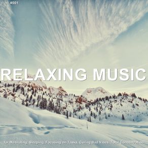 Download track Soothing Ballad Relaxing Music Therapy