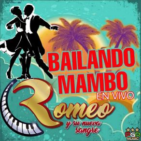 Download track Bachata Rosa Su Nueva Sangre