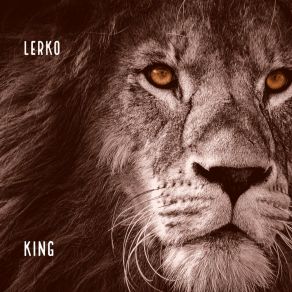 Download track Added Up Lerko