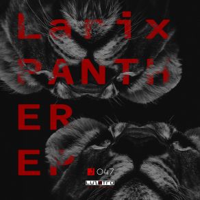 Download track Panther (Original Mix) Larix