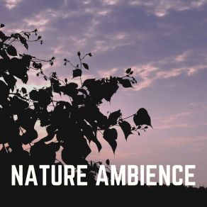 Download track Calming Breeze, Pt. 20 Nature Sounds Artists