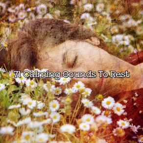 Download track Chilling Out All Night Sleeping Songs To Help You Relax