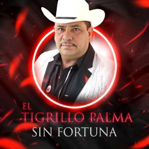 Download track Sin Fortuna El Tigrillo Palma