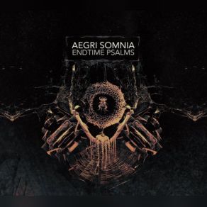 Download track DNA Cult Aegri Somnia