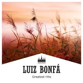 Download track Santeleco Luiz Bonfá