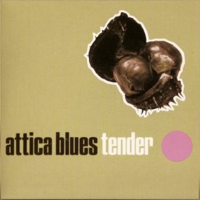 Download track Tender (The Final Story) Attica Blues