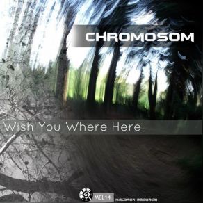 Download track La Famiglia Chromosom