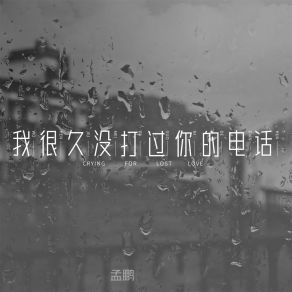 Download track 我很久没打过你的电话 (伴奏) 孟鹏