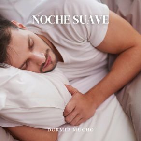 Download track Sueños Pacíficos Dormir Mucho