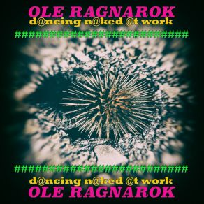 Download track Time To Say Goodbye Ole Ragnarok