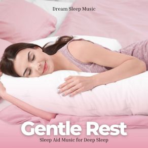 Download track Sleep Meditation Dream Sleep Music