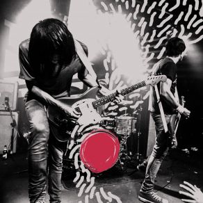 Download track Dendrophobia The Cribs