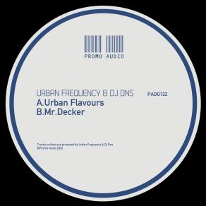 Download track Urban Flavours Urban Frequency, Dj Dns