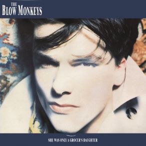 Download track It Doesn't Have To Be This Way The Blow Monkeys