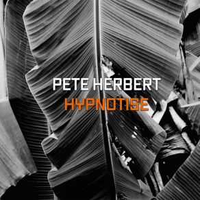 Download track Hypnotize (Bang Bang Remix) Pete Herbert