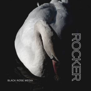 Download track Too Good For Her Black Rose Media