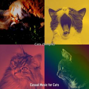 Download track Warm (Cats) Casual Music For CatsThe Cats