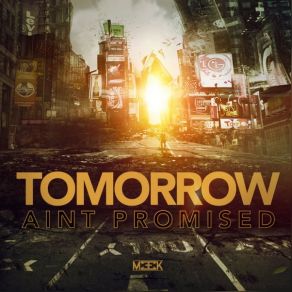 Download track Tomorrow Ain't Promised Meek