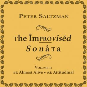 Download track Improvised Sonata # 1, Movement 2 (Fast And Largely Contained) Peter SaltzmanFast