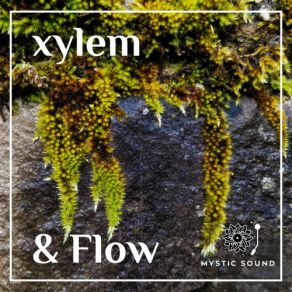 Download track Exuberant Wiggle Xylem