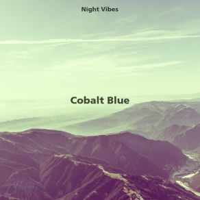 Download track The Importance Night Vibes