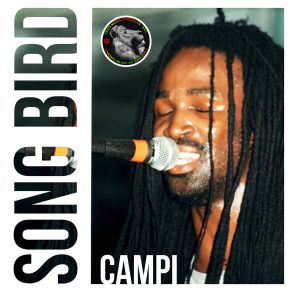 Download track Song Bird Campi