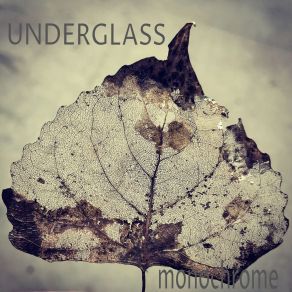 Download track Shine Underglass