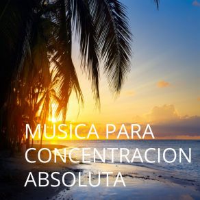 Download track Dedicación Y Entrega Musica Para Concentrarse