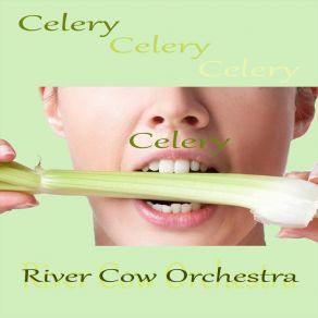 Download track Toads In My Mouth River Cow Orchestra