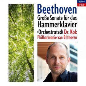 Download track Piano Sonata No. 29 In B-Flat Major, Op. 106 Hammerklavier IV. Largo - Allegro Risoluto Dr. Kok