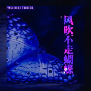 Download track 风吹不走蝴蝶 (伴奏) 江如玥