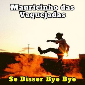 Download track Se Disser Bye Bye (Cover) Mauricinho Das Vaquejadas