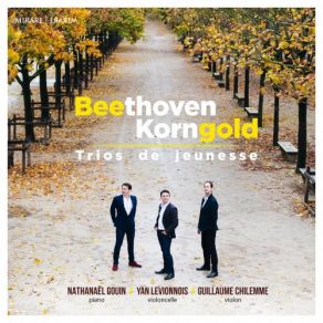 Download track Piano Trio, Op. 1: IV. Finale. Allegro Molto E Energico Yan Levionnois, Guillaume Chilemme, Nathanaël Gouin