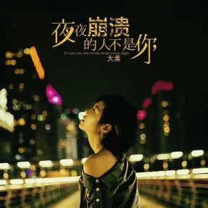 Download track 夜夜崩溃的人不是你 (Live合唱版) 大美